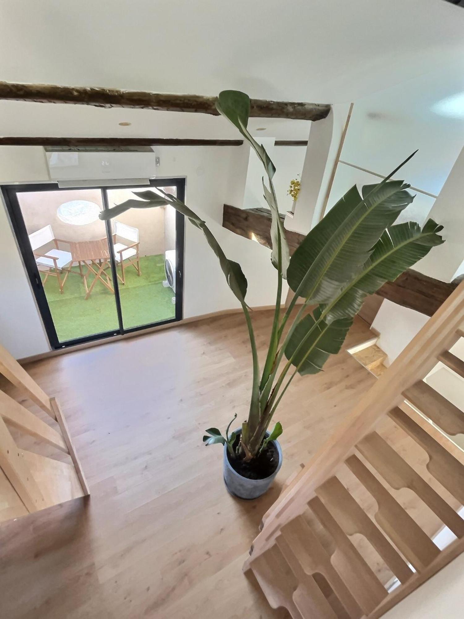 Jungle Loft Beziers Centre Leilighet Eksteriør bilde