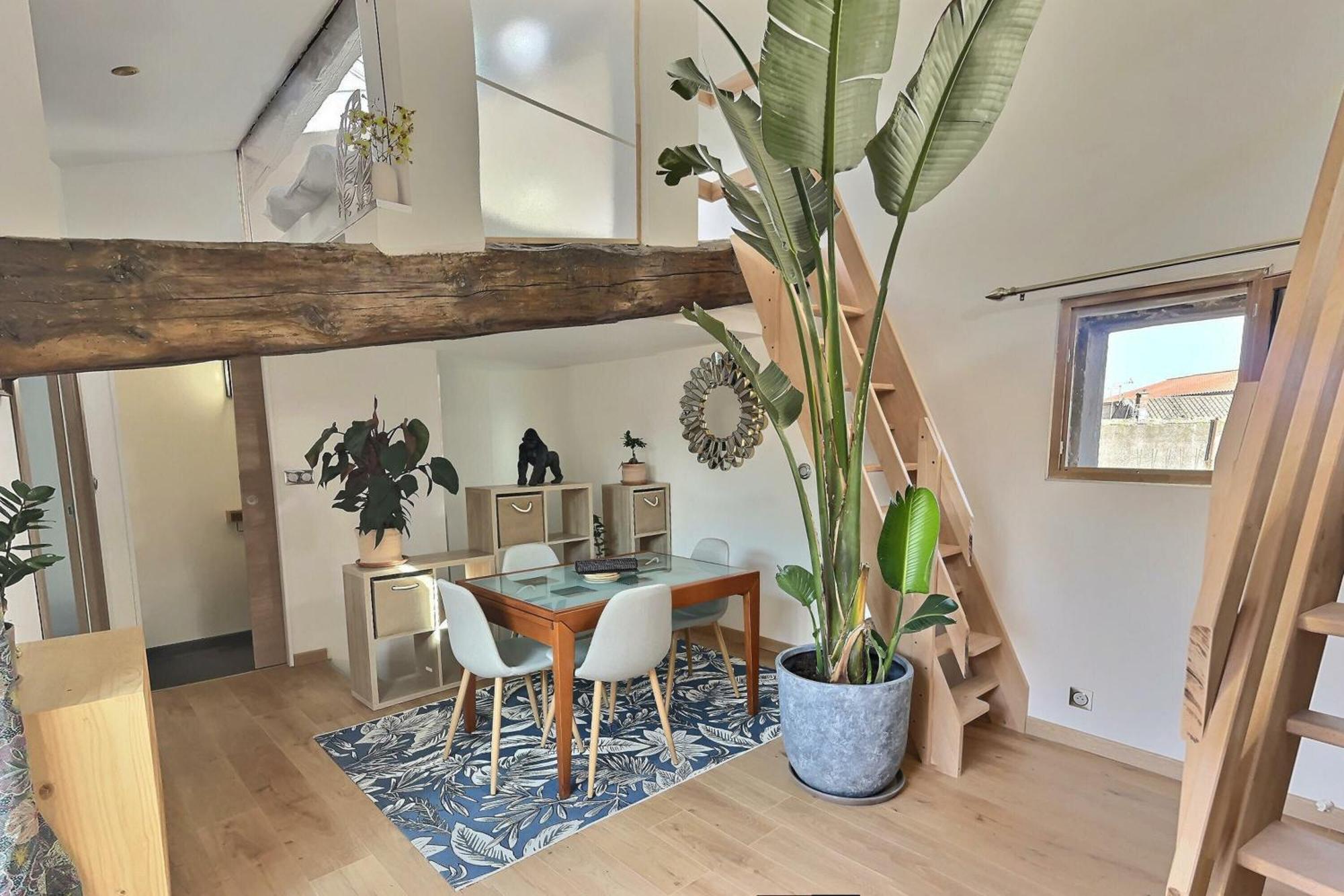 Jungle Loft Beziers Centre Leilighet Eksteriør bilde